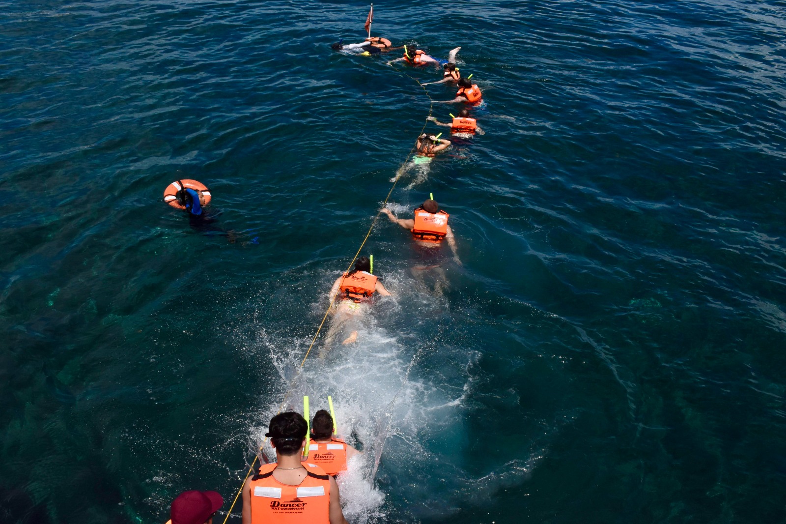 Dancer Cruise — photo 10