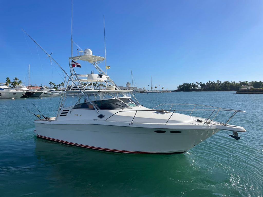 35 ft Sea Ray Fishing Yacht