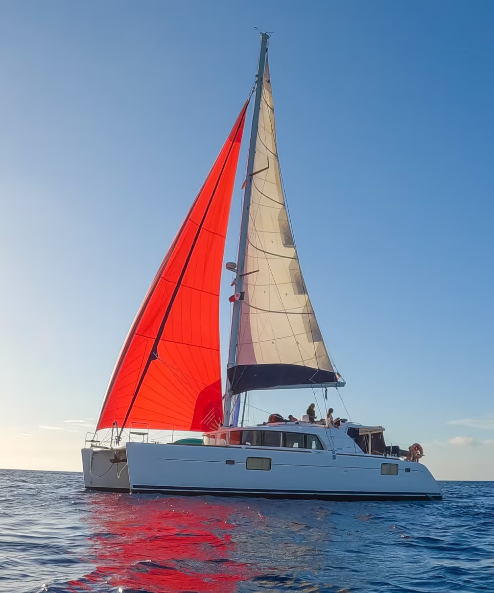 44 ft Sunshine Luxury Catamaran