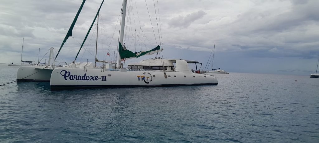 83 ft Paradox Luxury Catamaran