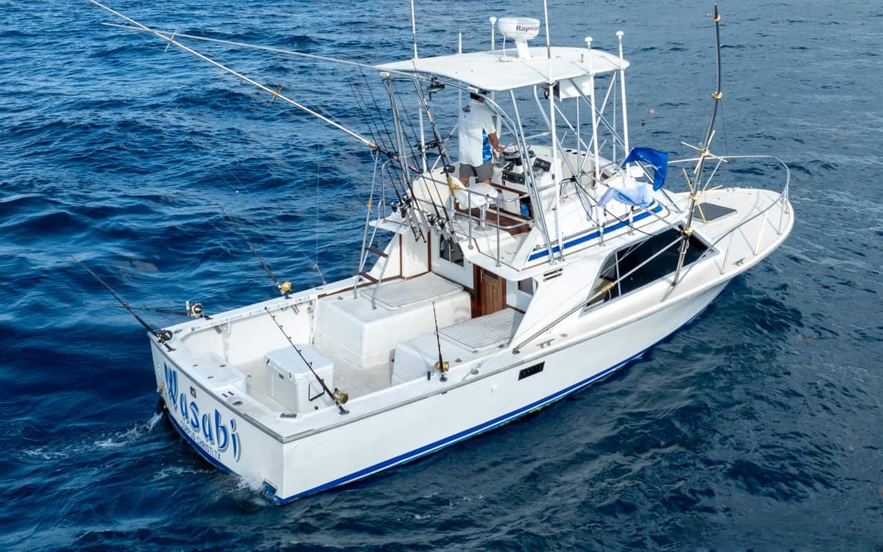 Yate Blackfin Fishing de 32 ft — photo 2