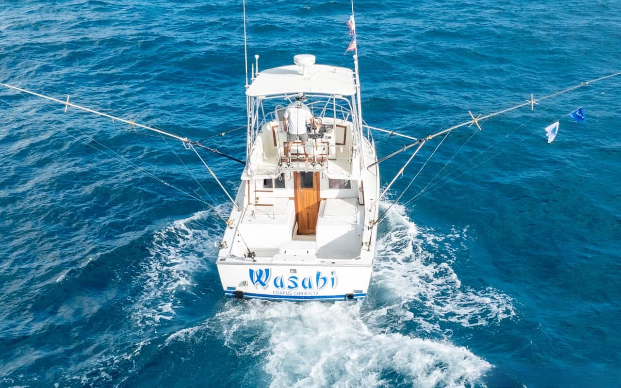 Yate Blackfin Fishing de 32 ft — photo 6