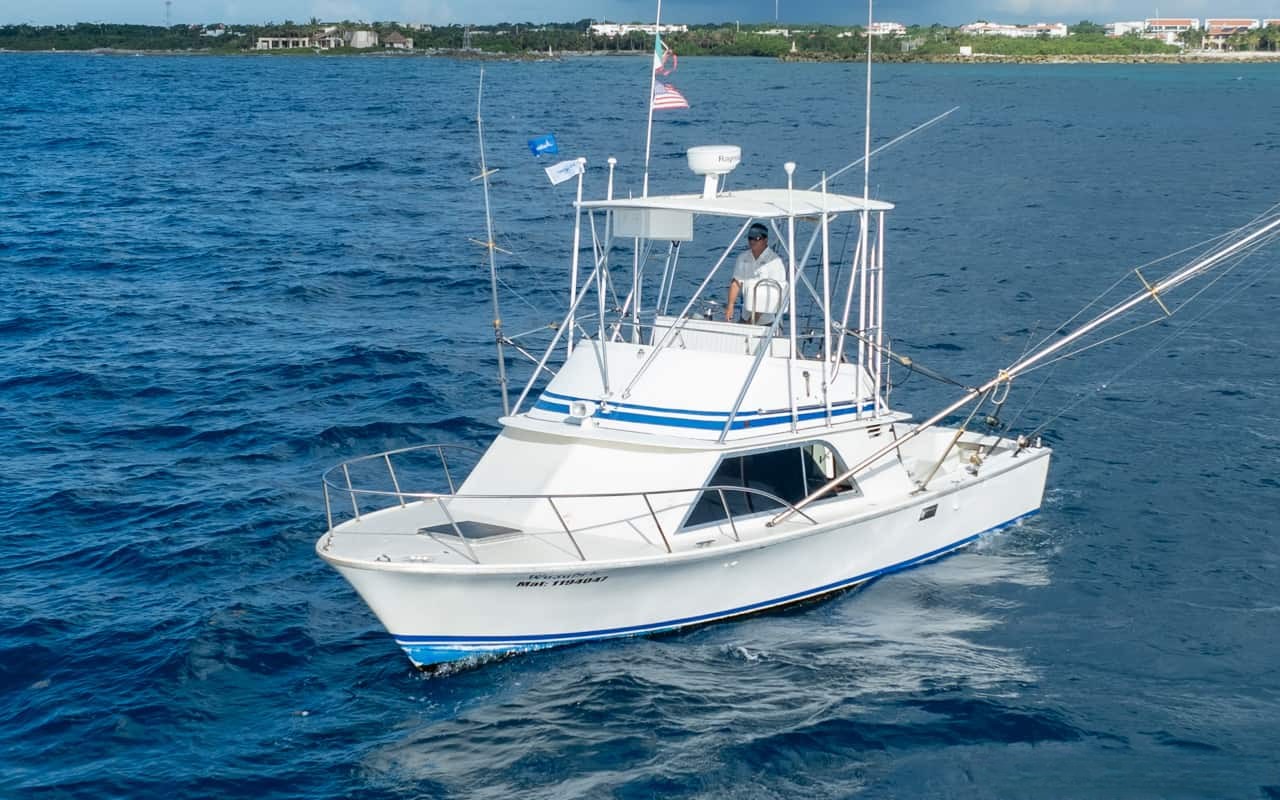 Yate Blackfin Fishing de 32 ft — photo 7