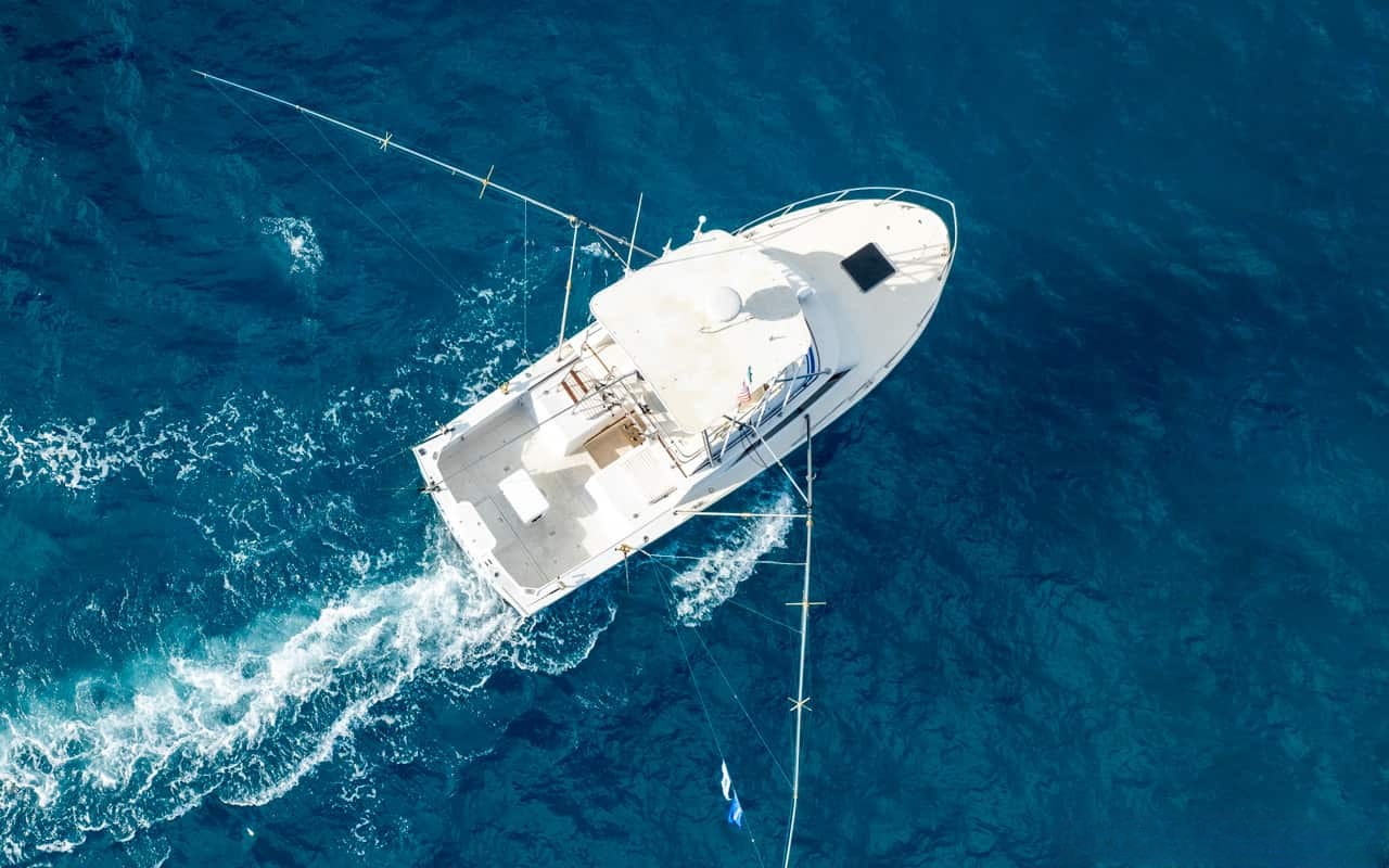 Yate Blackfin Fishing de 32 ft — photo 8
