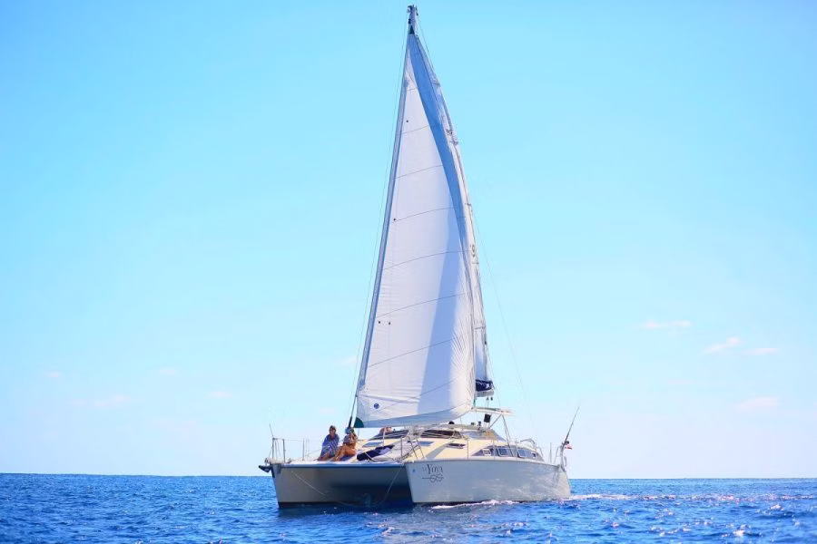 36 ft La Yoya Luxury Catamaran — photo 6