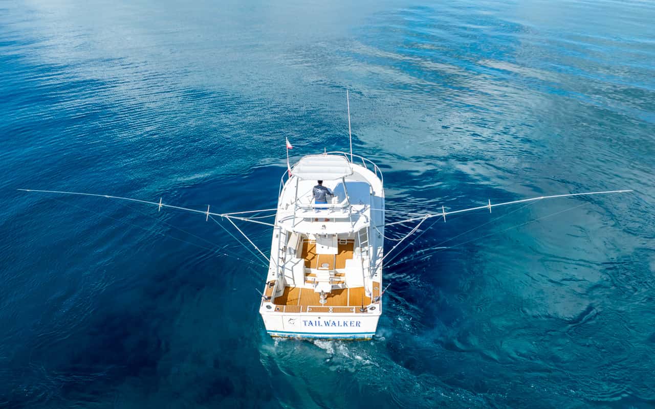 38 ft Luhrs Fishing Yacht — photo 3