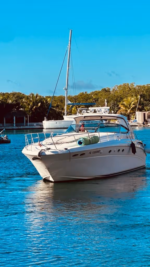 Yate de lujo Sea Ray de 55 ft — photo 6