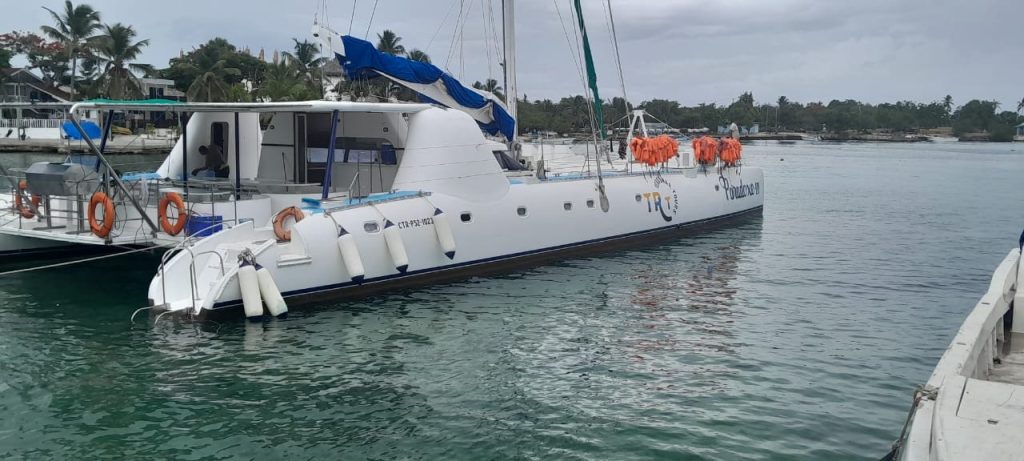Catamarán de lujo Paradox de 83 ft — photo 10