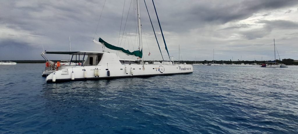 Catamarán de lujo Paradox de 83 ft — photo 6
