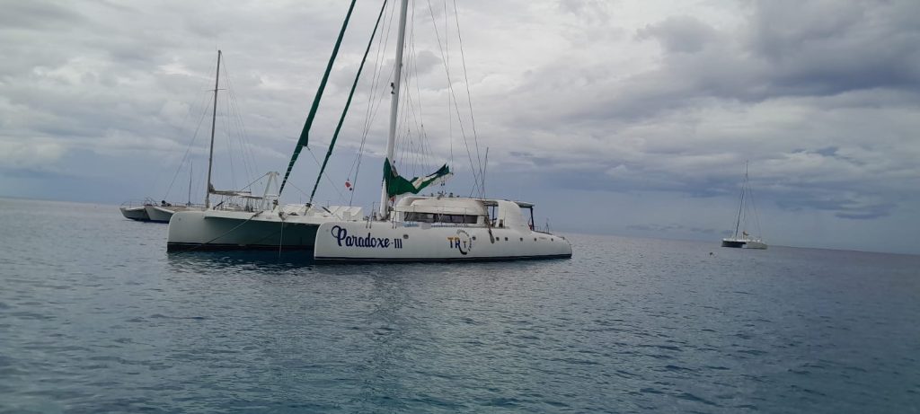 Catamarán de lujo Paradox de 83 ft — photo 2
