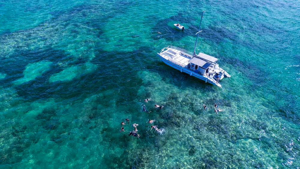 Catamarán de lujo de 60 ft — photo 4